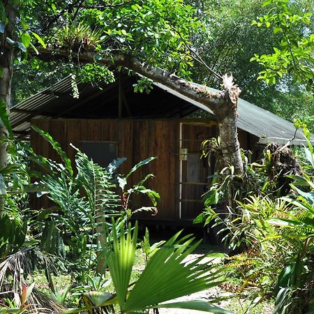 Hakuna Matata Amazon Lodge Archidona Dış mekan fotoğraf