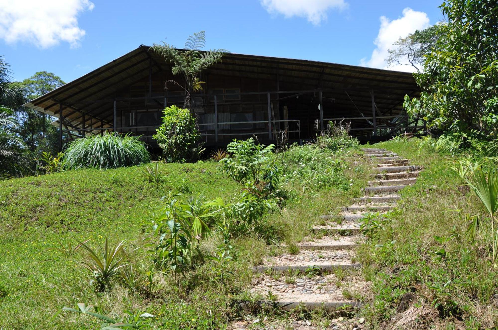 Hakuna Matata Amazon Lodge Archidona Dış mekan fotoğraf