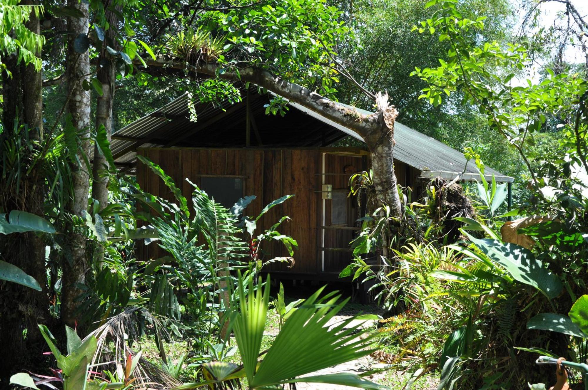 Hakuna Matata Amazon Lodge Archidona Dış mekan fotoğraf