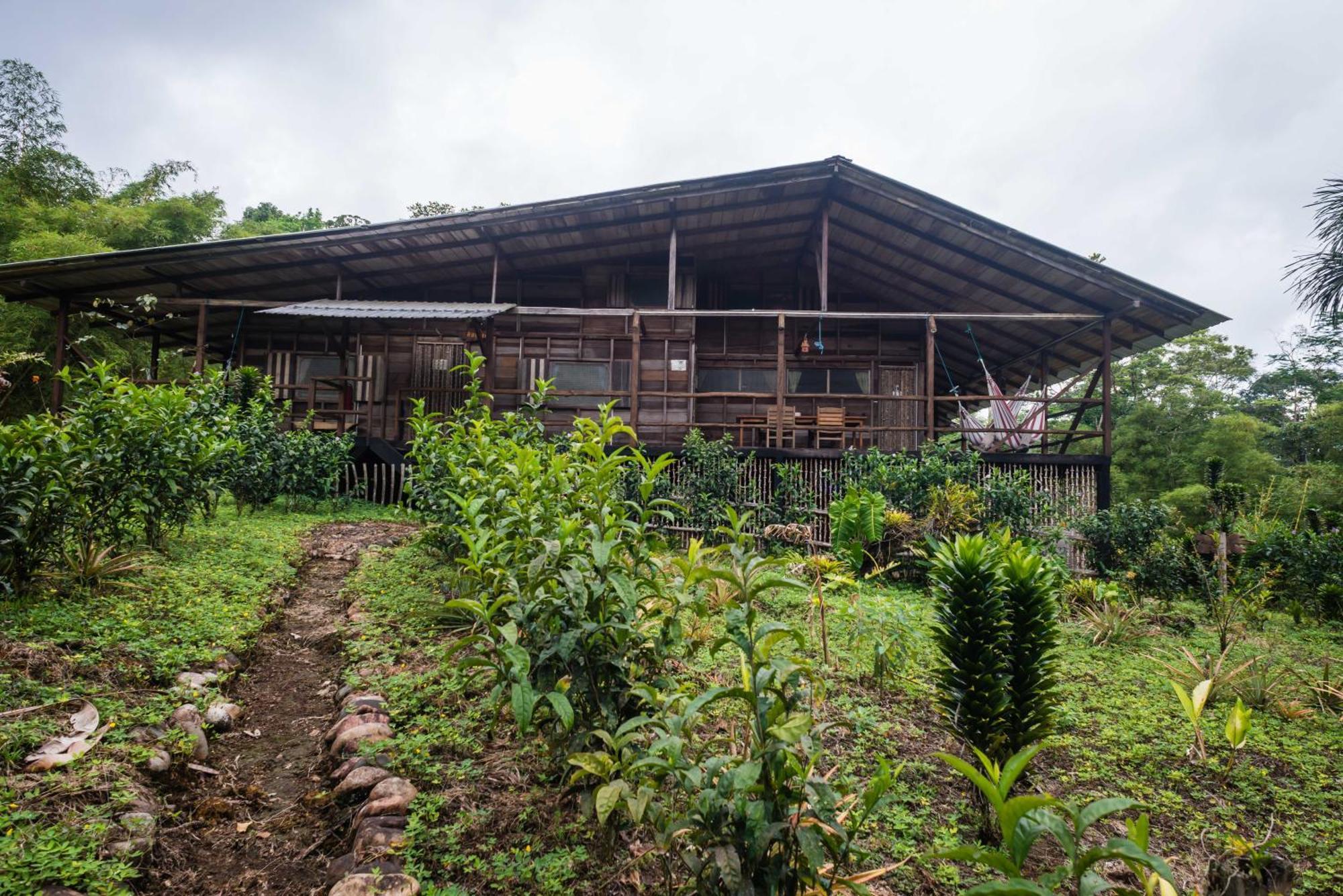 Hakuna Matata Amazon Lodge Archidona Oda fotoğraf