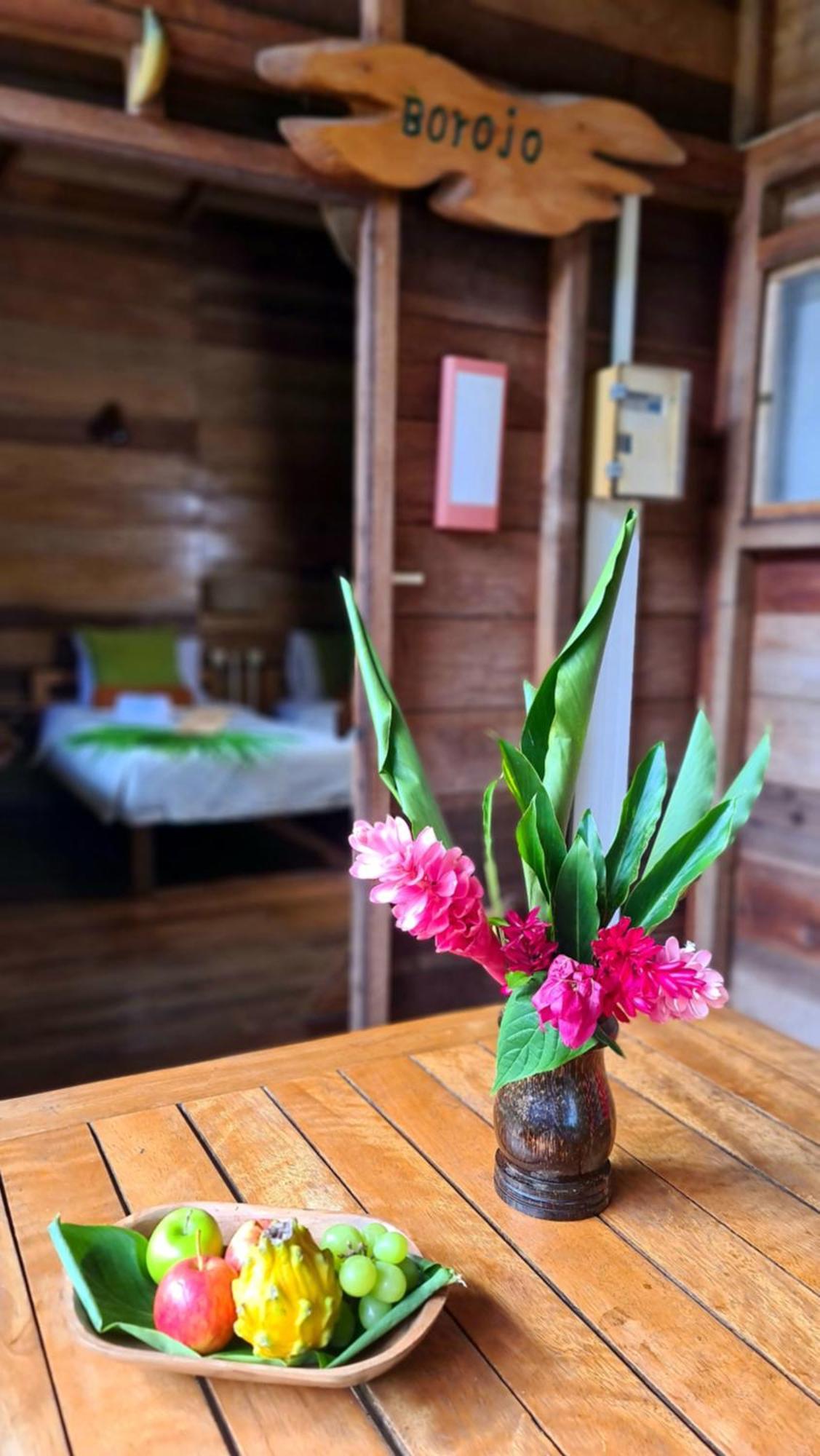 Hakuna Matata Amazon Lodge Archidona Dış mekan fotoğraf