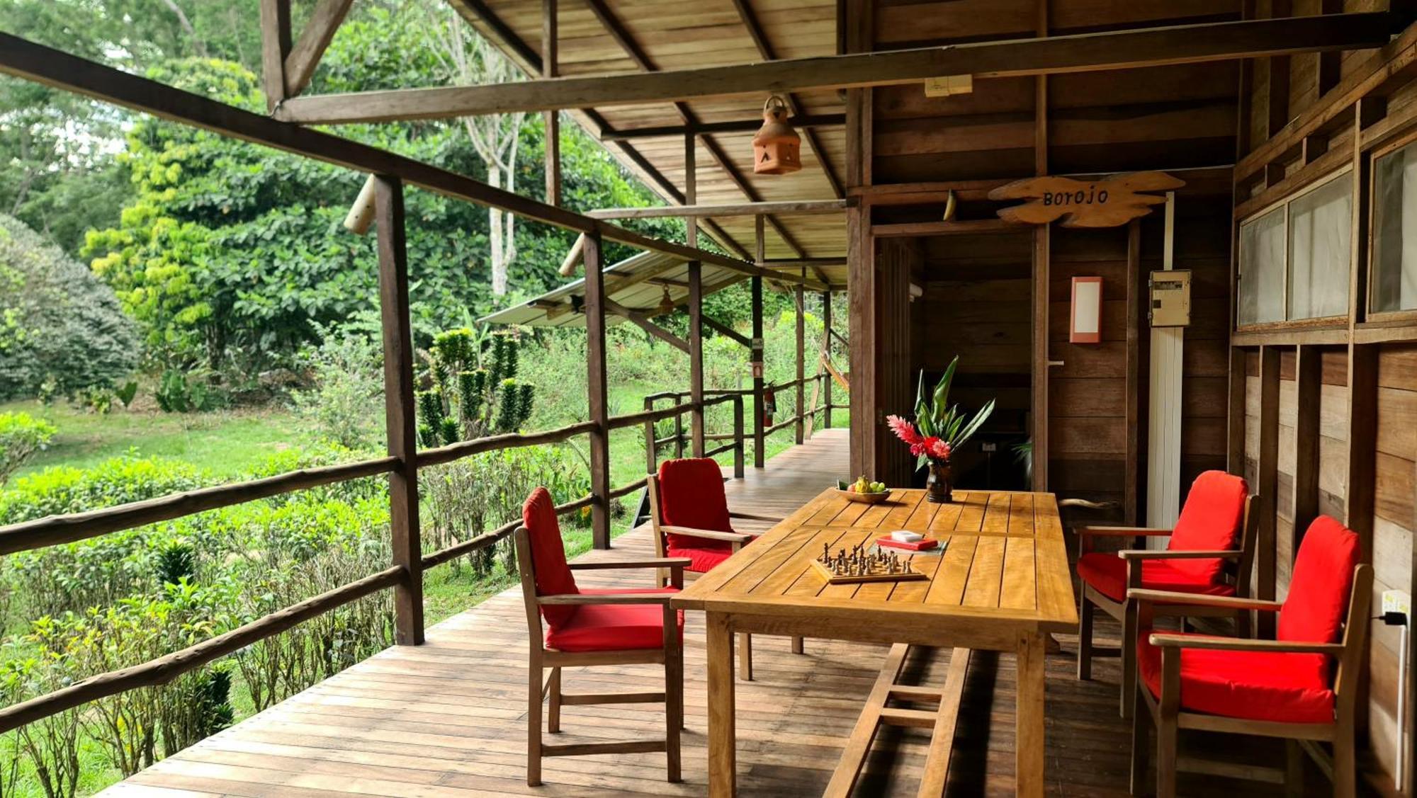 Hakuna Matata Amazon Lodge Archidona Dış mekan fotoğraf