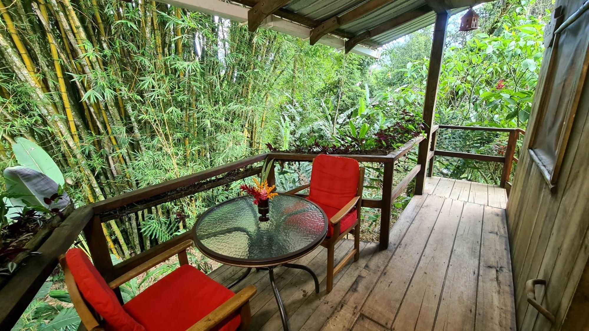 Hakuna Matata Amazon Lodge Archidona Dış mekan fotoğraf