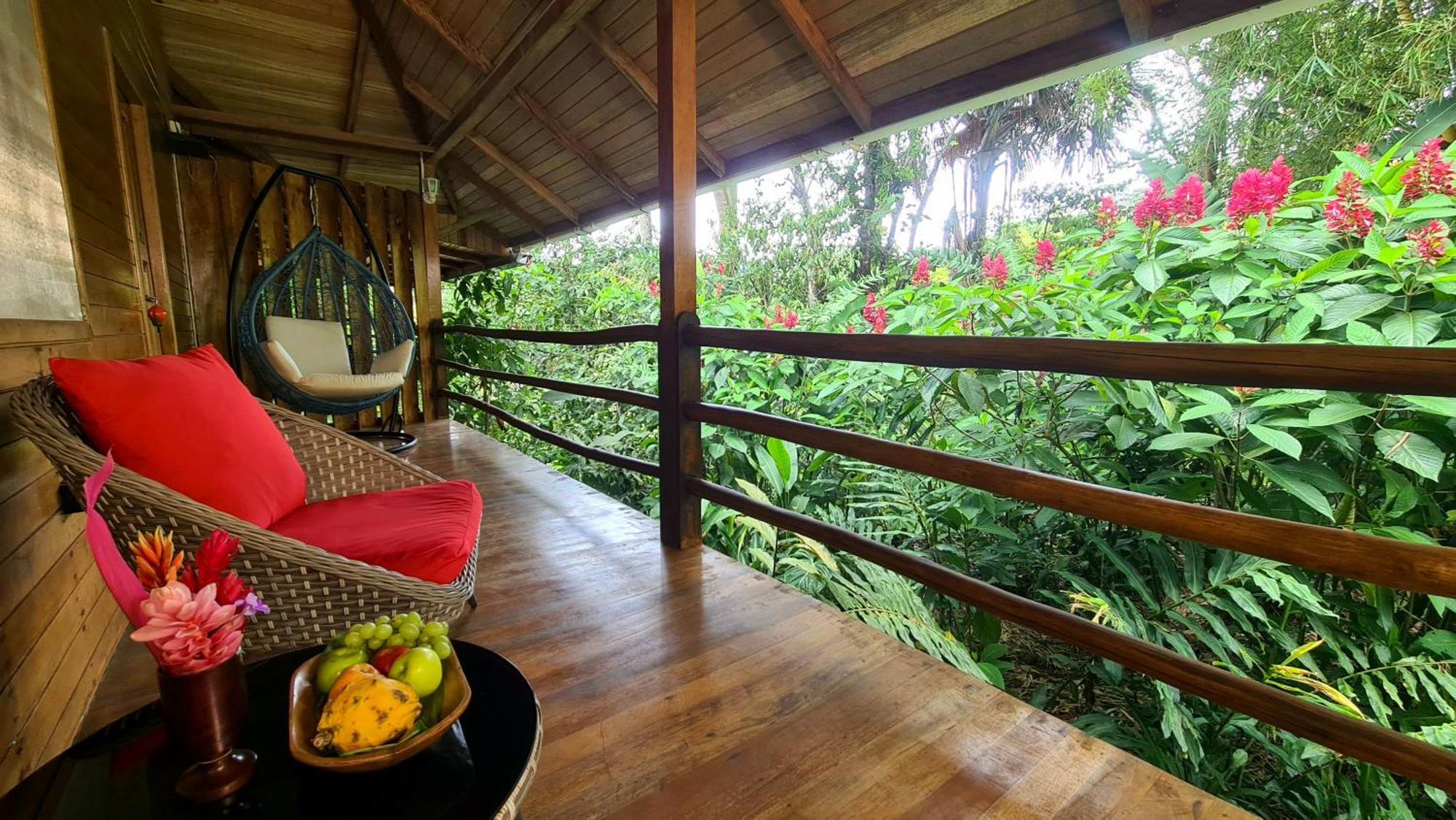 Hakuna Matata Amazon Lodge Archidona Dış mekan fotoğraf