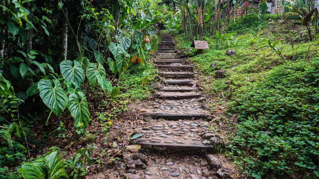 Hakuna Matata Amazon Lodge Archidona Dış mekan fotoğraf