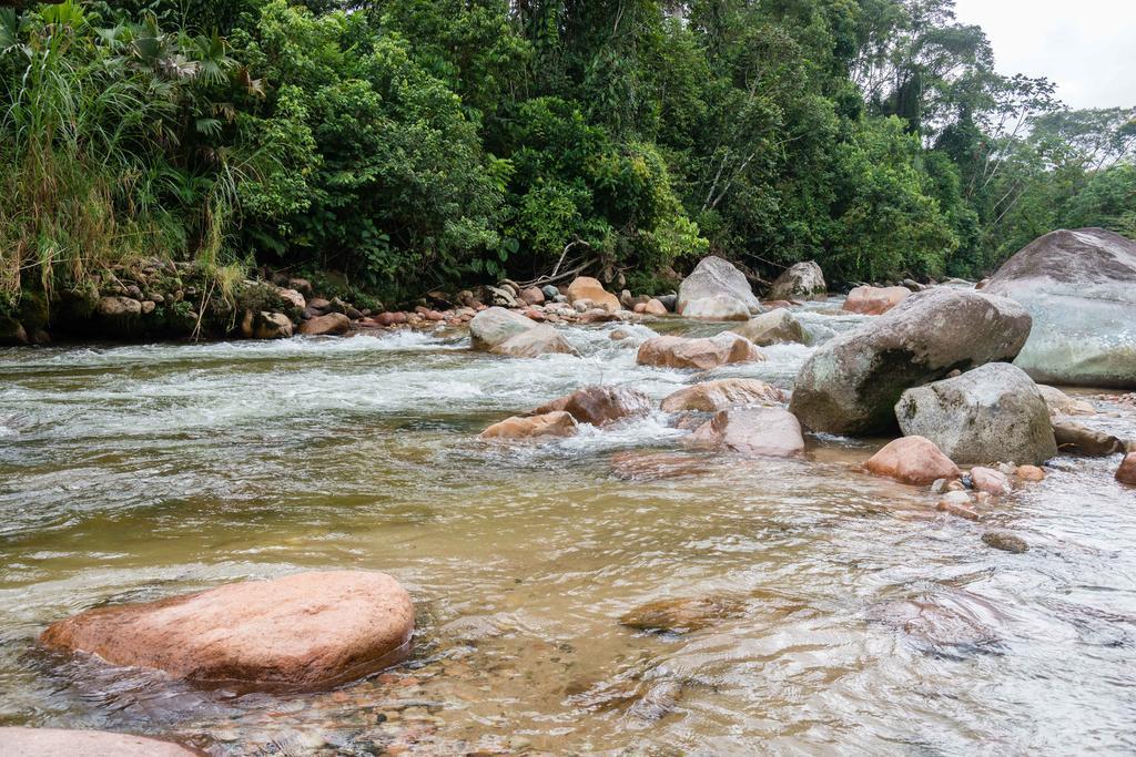 Hakuna Matata Amazon Lodge Archidona Dış mekan fotoğraf